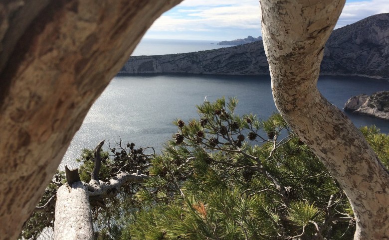 Discover creeks of cassis in hiking