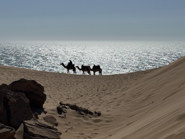 Maroc, le séminaire international coup de coeur